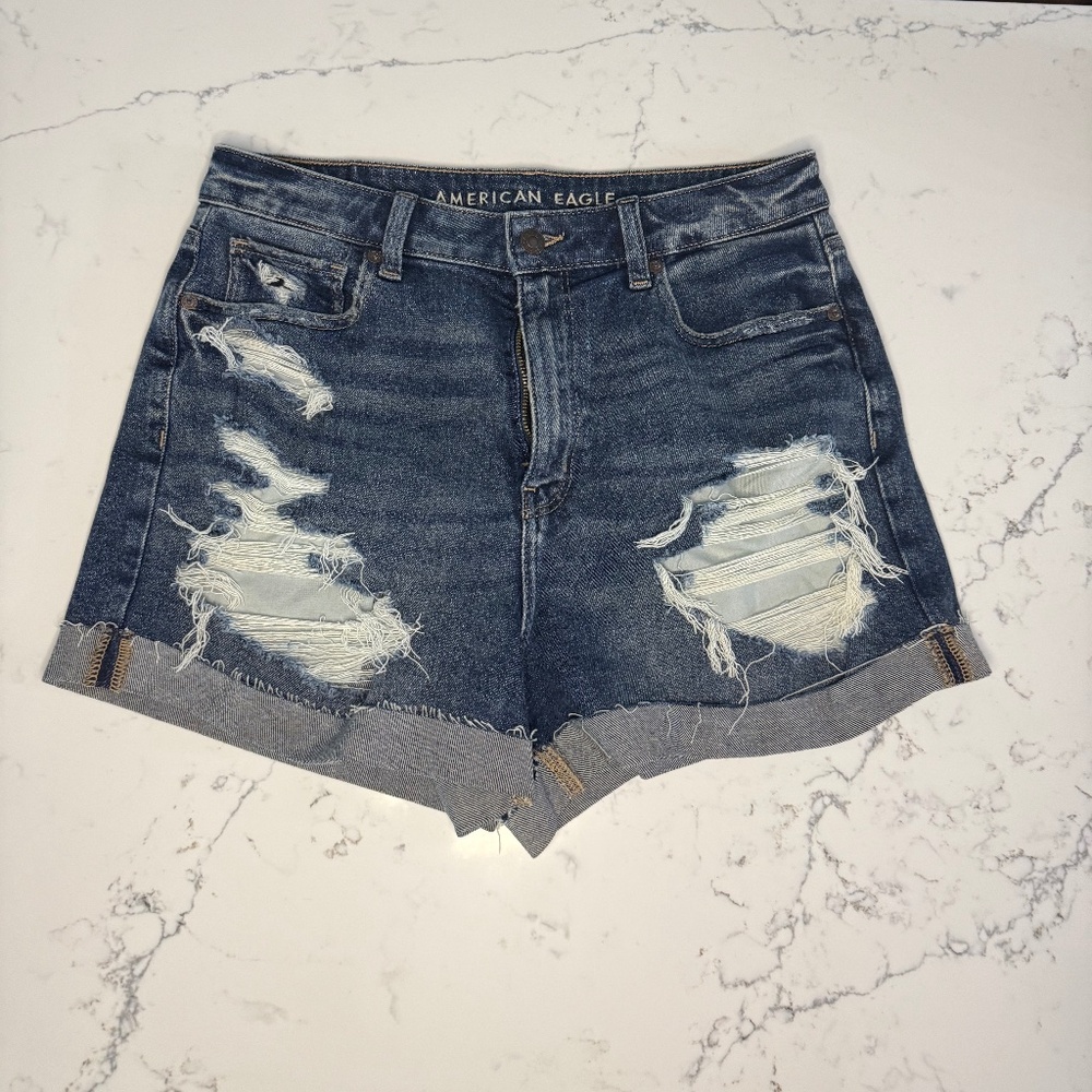 American Eagle Women's Shorts, Size 10